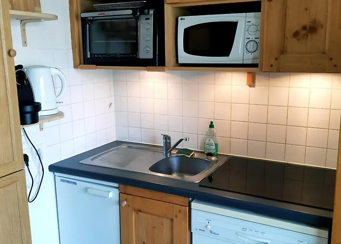 Duplex Spacieux Aux Deux Alpes, 3 Pieces, 7 Personnes, Parking Couvert - Fr-1-516-168 *